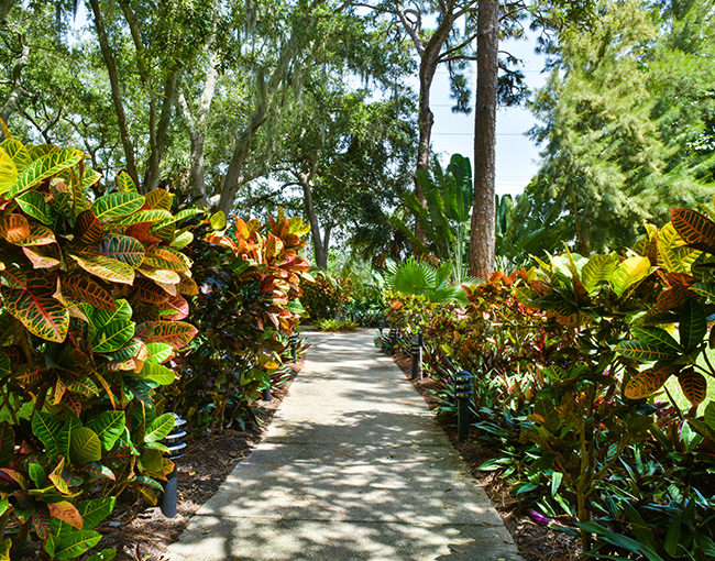 gardens Bay Village path outdoor